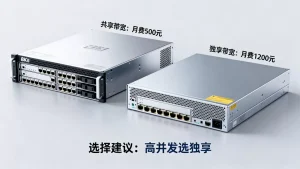 大带宽服务器租用共享和独享价格差多少，怎么选更划算？