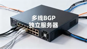 成都独立服务器租用为什么要看是不是多线BGP，多线BGP对网站访问速度有多大影响？
