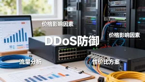杭州DDoS防御服务的价格受什么影响？如何选择性价比高的方案