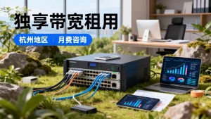 杭州独享带宽租用的报价怎么问，价格多少钱一个月？