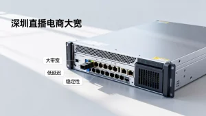 深圳直播电商的大带宽服务器怎么选？，深圳大带宽服务器哪家好