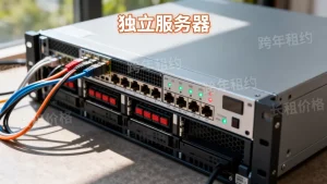 独立服务器跨年租约费用如何锁定？，长租价格还能谈吗