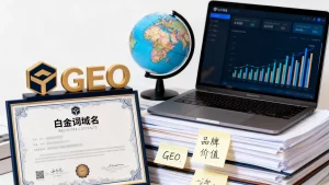 白金词域名对GEO与品牌价值提升有用吗？白金词域名能提升品牌价值吗？