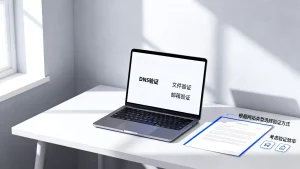 简米云域名验证类型有哪些？如何选择适合自己的验证方式？，域名验证怎么选，验证方式有哪些区别
