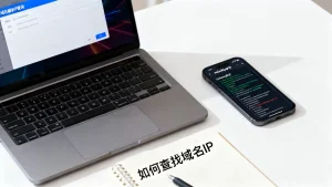 如何查找域名对应的IP地址？域名解析IP查询方法有哪些？