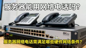 服务器能用网络电话吗?服务器网络电话需满足哪些硬件网络条件?