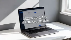域名过期了怎么续费？，域名过期多久内可以续费