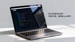 虚拟机里pwd命令怎么用？显示当前路径的参数有哪些，Linux终端路径查看技巧
