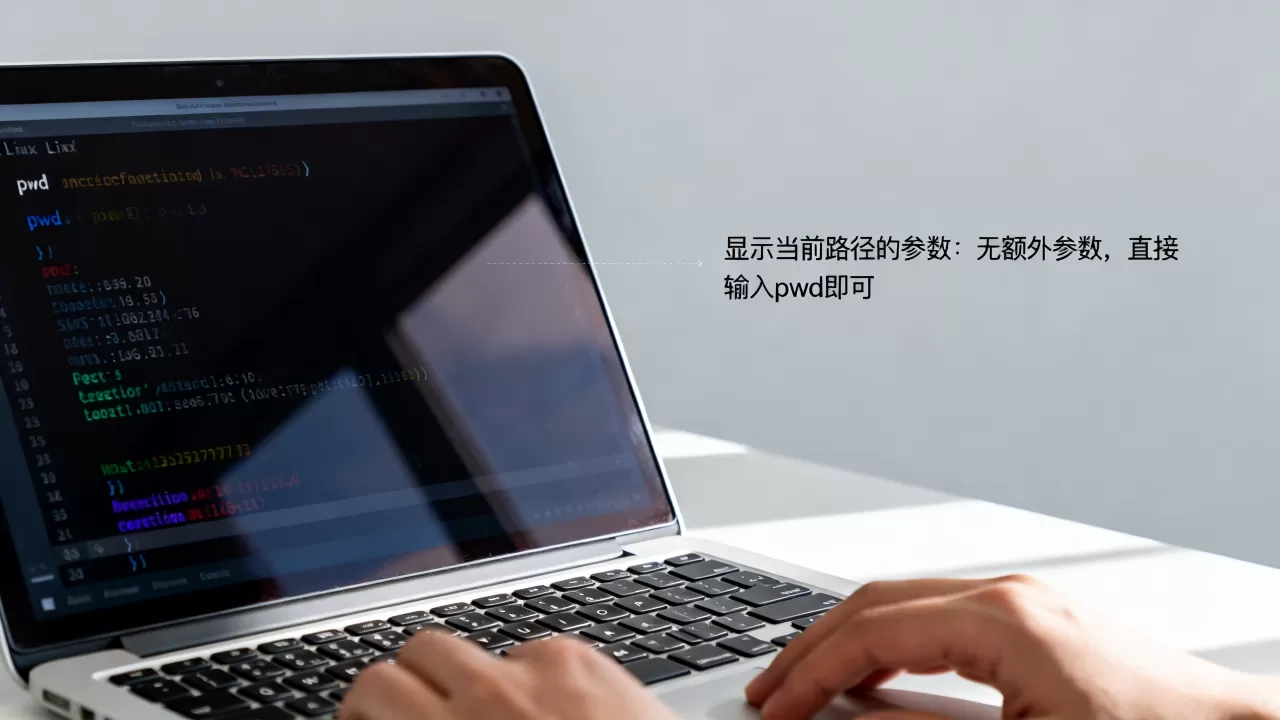 虚拟机里pwd命令怎么用?显示当前路径的参数有哪些,Linux终端路径查看技巧 虚拟机里pwd命令怎么用?显示当前路径的参数有哪些,Linux终端路径查看技巧