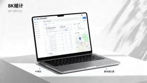 站长工具域名查IP能精准定位服务器真实位置吗，怎么查IP