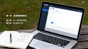 新网域名解析怎么设置？新手操作步骤详解指南，域名解析不生效怎么办
