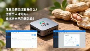 花生壳的壳域名是什么？适合个人建站吗，花生壳域名能绑定自己的网站吗