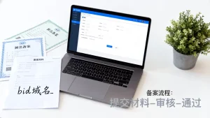 bid域名能否备案？如何顺利完成备案流程？