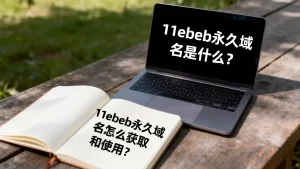 11ebeb永久域名是什么？11ebeb永久域名怎么获取和使用？