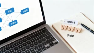 www是子域名吗，顶级域名和子域名区别是什么？