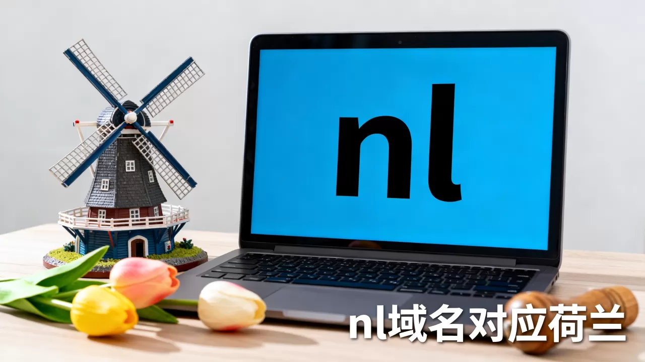 nl域名属于哪个国家？，域名后缀nl对应的国家是什么？