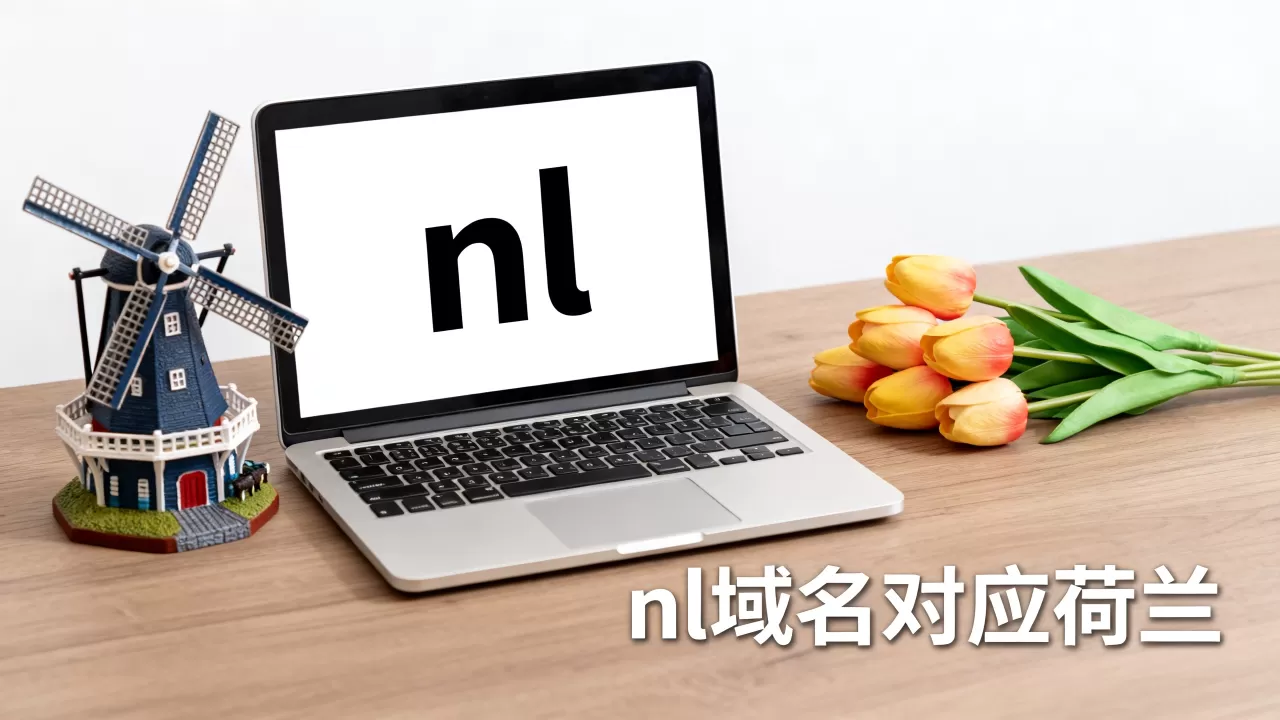 nl域名属于哪个国家？，域名后缀nl对应的国家是什么？