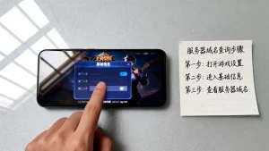 王者荣耀服务器域名是什么？怎么查自己玩的服务器域名？查询入口在哪？